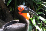 DSC_3272.jpg