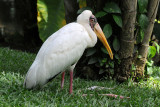 DSC_3291.jpg