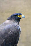DSC_3458.jpg