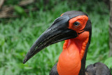DSC_3503.jpg