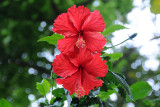DSC_1197.jpg