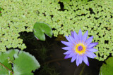 DSC_1452.jpg