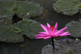 DSC_1644.jpg