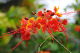 DSC_3203.jpg