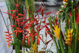 DSC_5839.jpg
