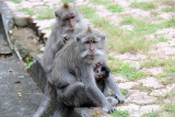 DSC_2043.jpg
