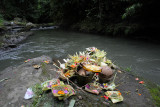 offerings