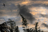 sunset in Ubud