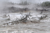 Norris Geyser Basin