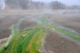 Norris Geyser Basin