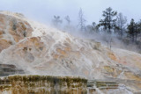 Mammoth Hot Springs