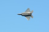 DSC_7662.jpg