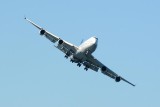 DSC_8421.jpg