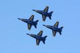 DSC_8812.jpg