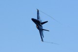 DSC_9209.jpg