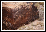 Newspaper Rock