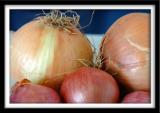 Onions and Shallots