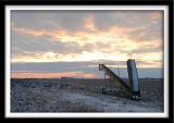 Winter Morning on the Farm