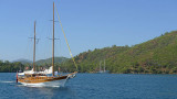 image 117687588