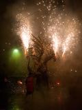 Tres Tombs de Foc-VNG