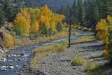 109-0949_IMG.jpg
