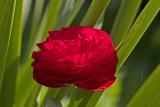 CRW_4192.jpg