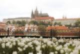 Glimpse of Praha