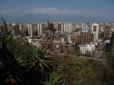 Santiago as seen atop Cerro Santa Lucia