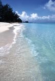 Caribbean Paradise