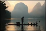 The Cormorant Fisherman #3, Guangxi 2006