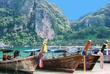 Phi Phi Boats
