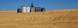 Washington Wheat Grain Elevator