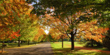 Fall at the Country Club
