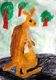 kangaroo, Jamie Wu, age:5.5