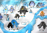 please count the penguins, Tony, age:6