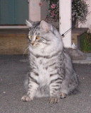 Mira Milaia Pasha.jpg