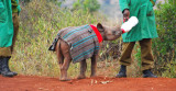 Baby Rhino being hand fed