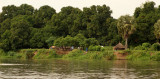 Housing on the banks of the White Nile