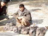 Turkeys for sale on a street corner on Christmas Day