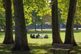 Picnic in the park