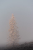 SUNRISE7