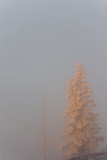 SUNRISE8