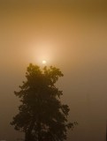 SUNRISE10