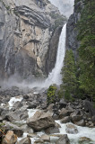 Lower Yosemite Fall