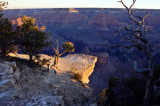 _MG_9644 Grand Canyon 2 sunrise.jpg