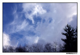 c_9203.jpg