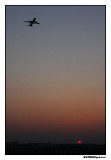 m_2826.jpg
