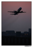 m_2882.jpg