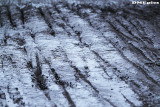 k0318.jpg