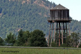 Wooden Water Tower